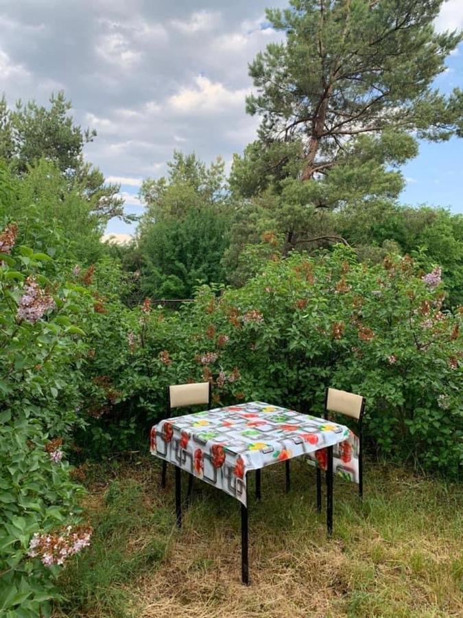 Guest House At The Lake Sevan Buitenkant foto