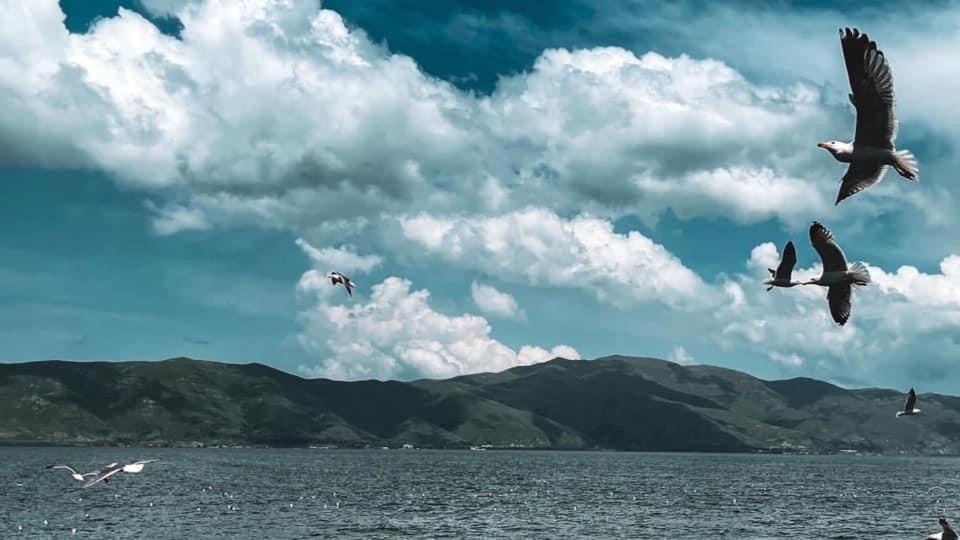 Guest House At The Lake Sevan Buitenkant foto